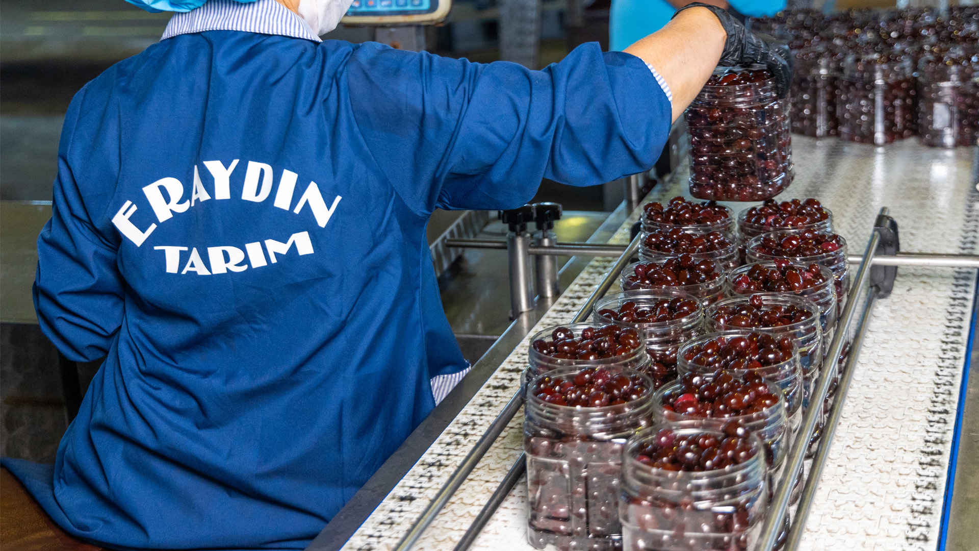 turkisholive-eraydin-img22